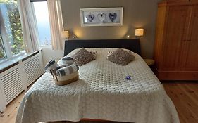 Bed And Breakfast Hattem